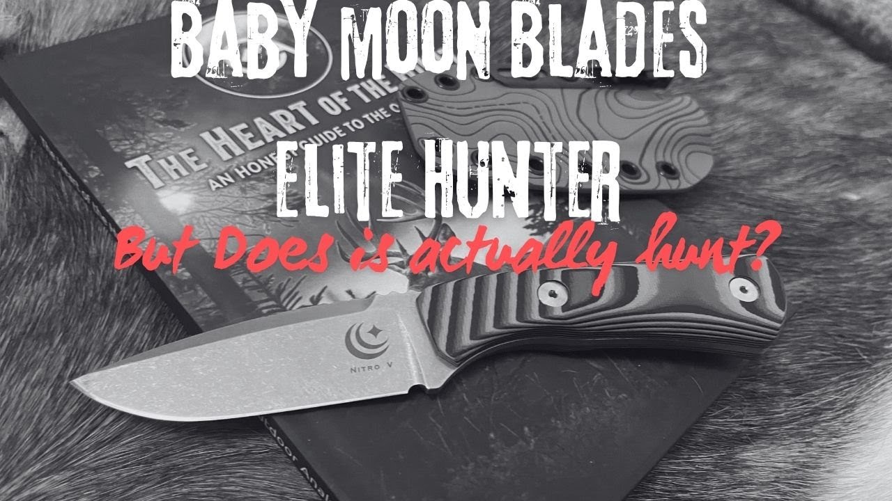 Элитный охотник Baby Moon Blades. Но охотится ли он?