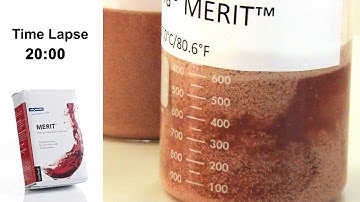 Novonesis (formerly Chr. Hansen) Yeast Rehydration Protocol