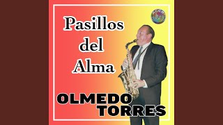 De Conchas y Corales - Olmedo Torres
