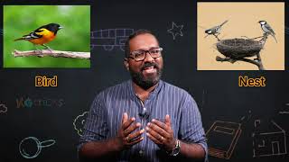 Animals Home Kids Education Evs Kindergarten Lkg Ukg Kids Study