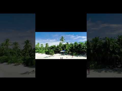 Royal X - Río (Visualizer Oficial) | Dembow 2025 🔥