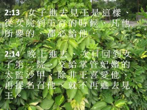 以斯帖記2 (粵語有聲聖經) (尤太靈修系列)