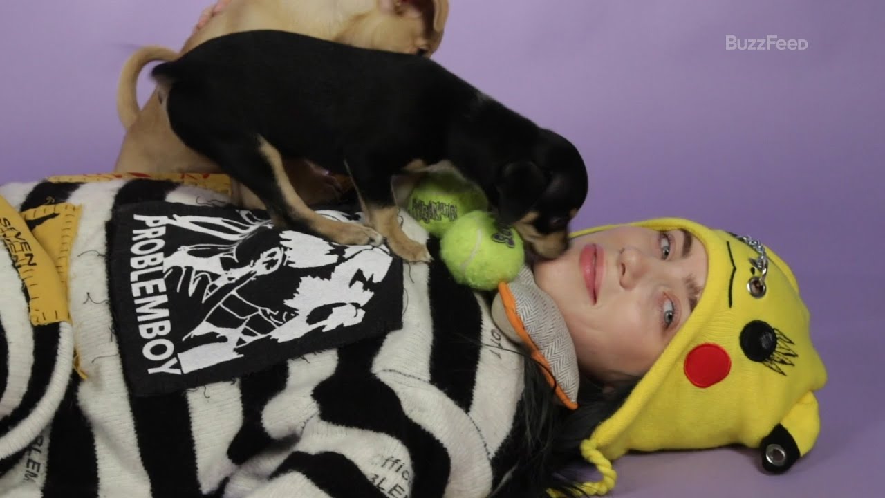 Billie Eilish brinca com filhotinhos enquanto responde perguntas de fãs - BuzzFeed Brasil
