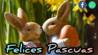 Gif Feliz Pascua Feliz Pascua Mensajes de buenos dias Gif Feliz Pascua 2021 Para Whatssap