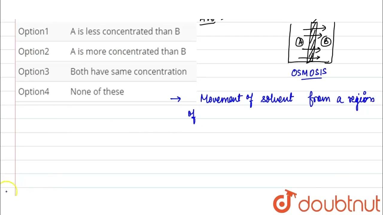 Two solutions A and B are separated by semipermeable membrane. If
