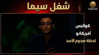مشاهد من كواليس أفريكانو ولحظة الأسد كان هيهجم على المصور 😂😮 #شغل_سيما