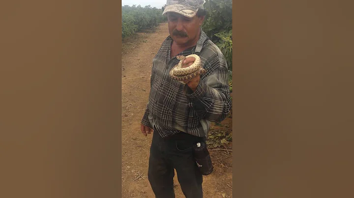 David godinez y su mascota