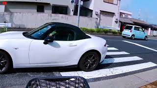 Suasana Pagi Hari Di Jepang Bikin Mata Melek | Japan Vlog | Sepedaan di Jepang