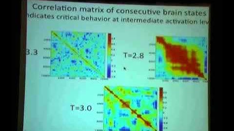 Dynamic brain states and consciousness_183 Prof Anthony Hudetz