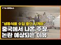 [자막뉴스] "냉동식품 수입 중단 시켜야" 중국에서 나온 주장, 논란 예상되는 이유 / YTN