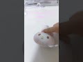 スクイーズじゃないのわかったらコメントで教えて(⁠´⁠∩⁠｡⁠•⁠ ⁠ᵕ⁠ ⁠•⁠｡⁠∩⁠`⁠)ピンク系でヤッてみたぁ～#スクイーズ #ピンク系統 #ピンク系スクイーズ