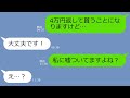 【LINE】スーパーに行ってるママ友からSOSがきた…「絶対返すから～」…お金を貸してくれと言ってくる理由がヤバい…非常識DQNの本性を暴いてやった結果w