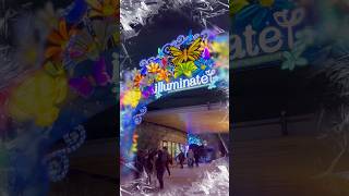 San Antonio Comes Alive After Dark Illuminate At The Botanical Gardens