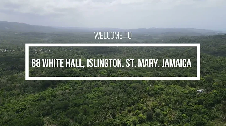 (PRICE REDUCED TO $6.5 Million JMD) For 6 Acre Lan...