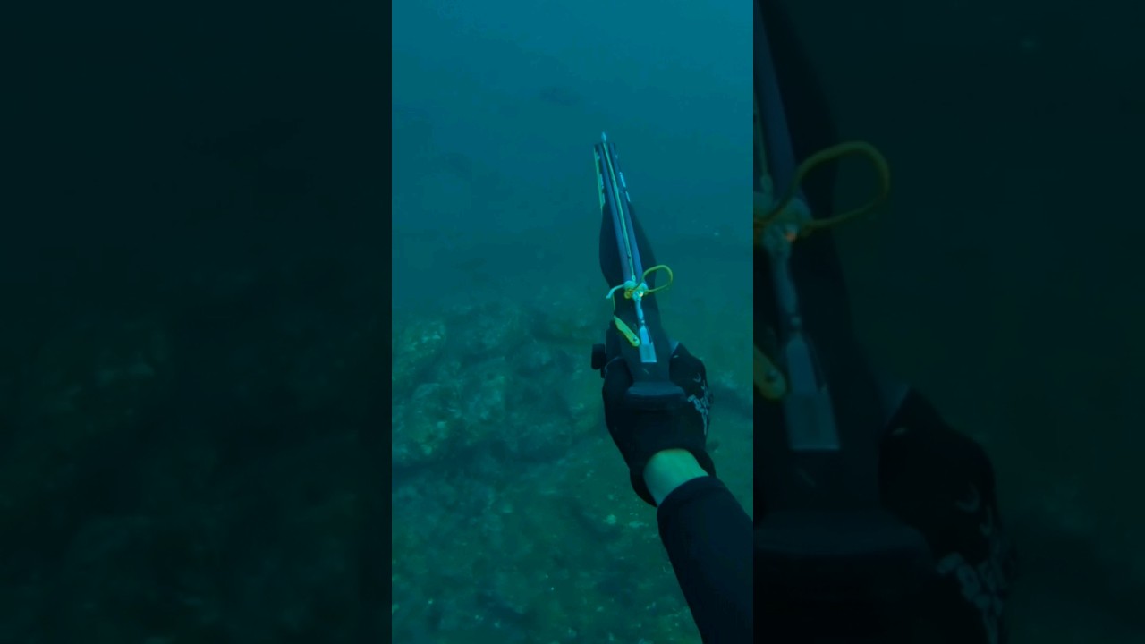 pathos snipper roller 95cm