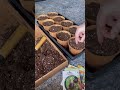 Seed Starting 101!