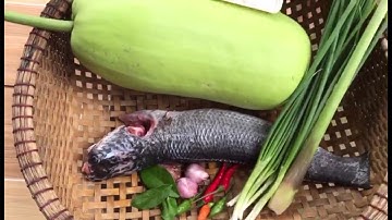 CÁ LÓC HẤP BẦU - Sơn Trọc Vlogs #3