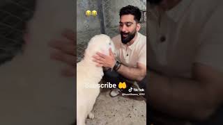 #indiapakistan #funny #deenemurtad #deenemurtad #comedy #comedy #bitcoin #bitcoin #memes #memes #mem