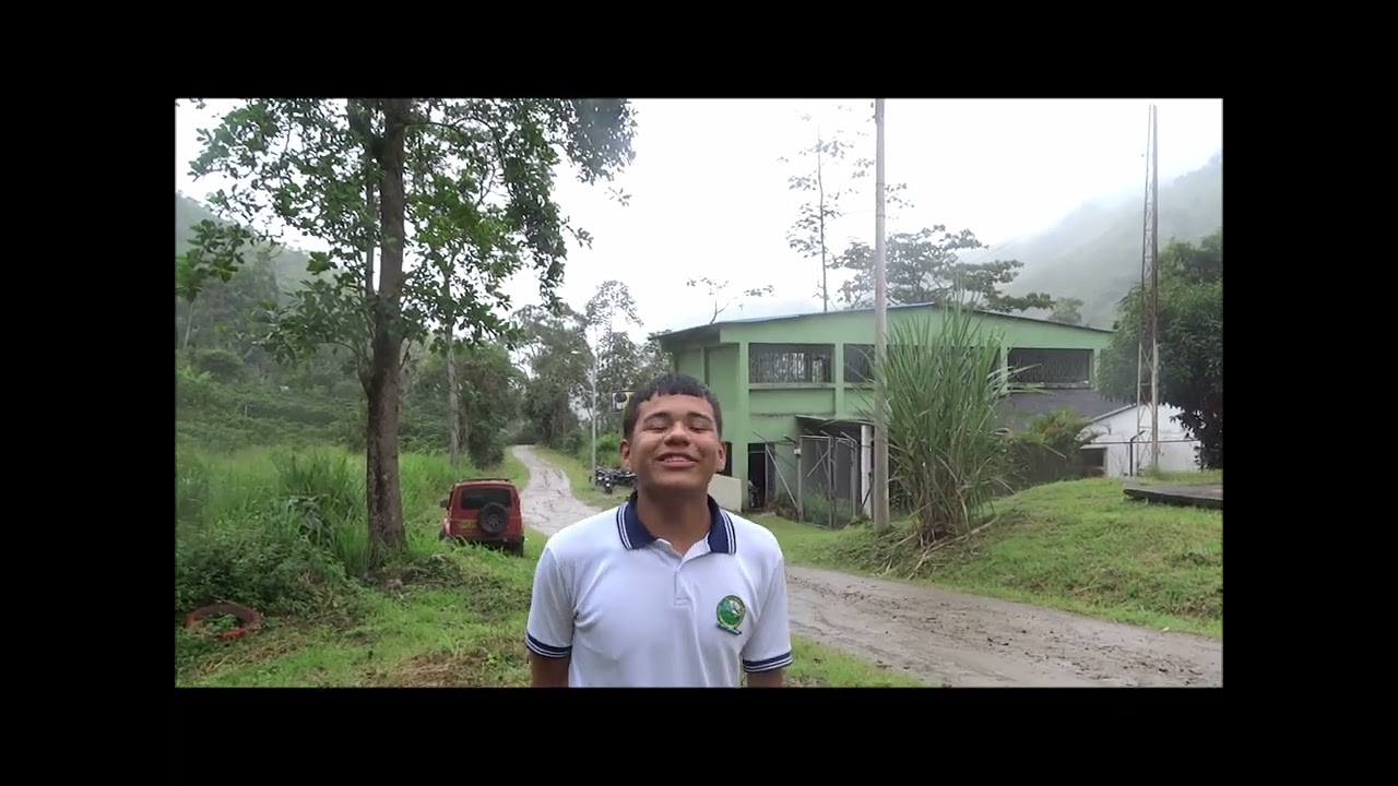 INTERVENCIÓN PEDAGÓGICA I.E. LA PERDIZ ALGECIRAS HUILA