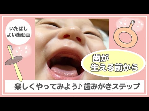 歯みがき準備の話(いたばしよい歯動画)