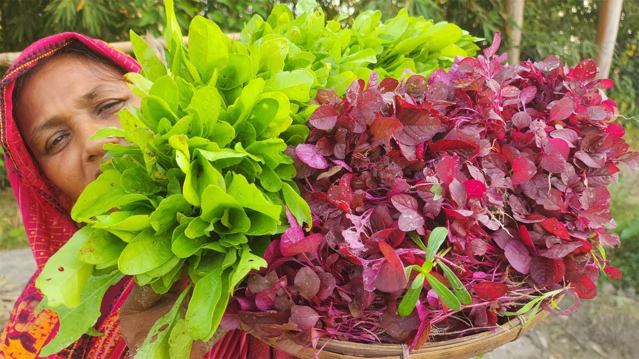 বাগানের তাজা লাল শাক আর পালং শাক তুলে রান্না Red Leafy Bharta FARM FRESH Spinach Fish Curry Recipe