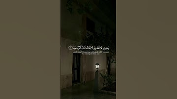 مِن سُورة النمل | القارئ : عبدالرحمن الرشود🤍