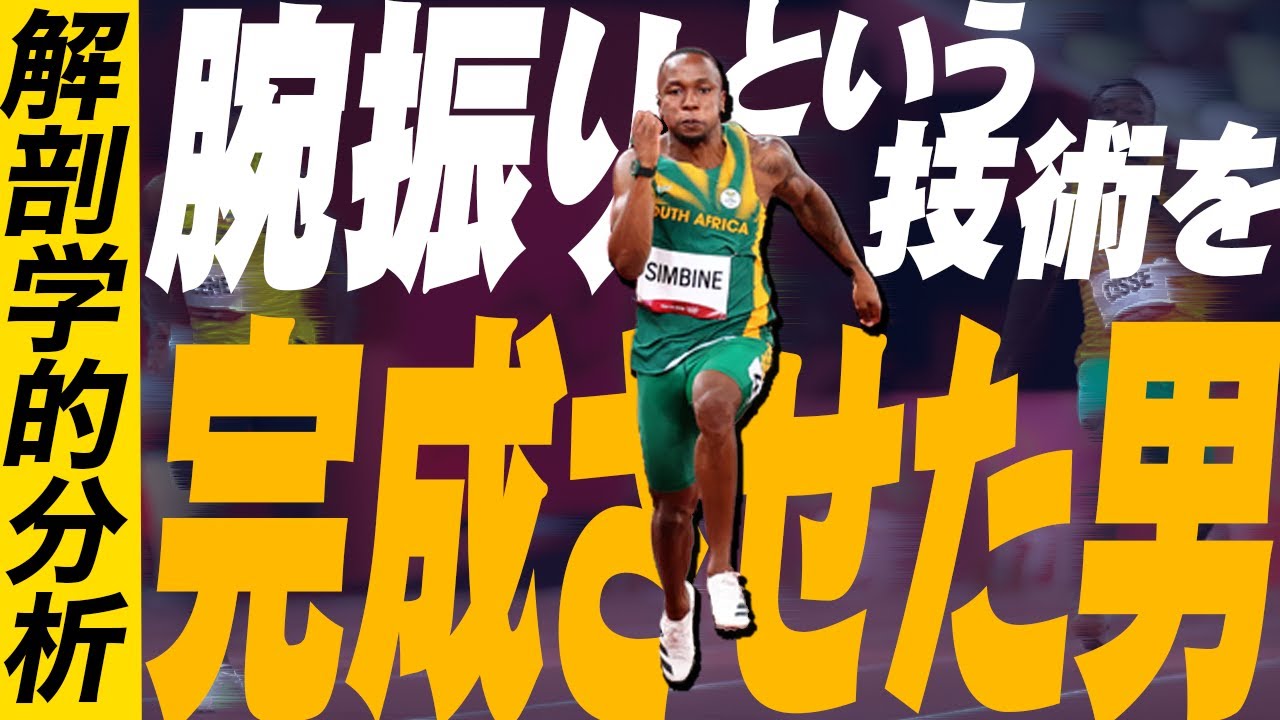 【100ｍ・シンビネ】足が速くなる超理論武装腕振りを解剖学的に考えてみた