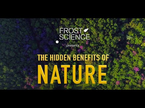 Video: Benefits, Strength And Beauty Of Nature