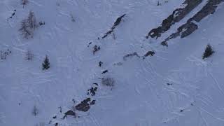 FWT23  No Limits Freeride Bruson Qualifier 3  Run SkiMen 16 9 BIB 65 Joan Aracil