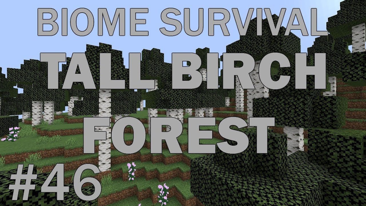 Minecraft Biome Survival 46 Tall Birch Forest YouTube