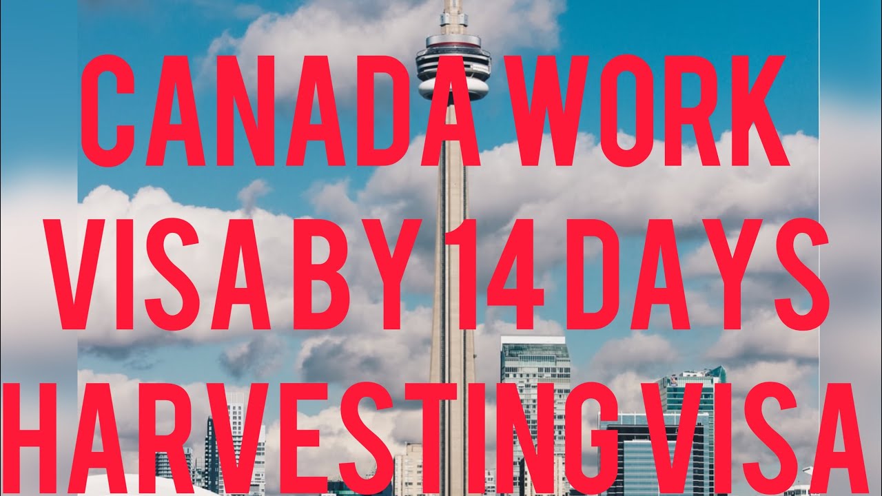 ||Canada Workpermit || Canada Harvesting Visa || Canada Farmers Visa || Canada Elders Caring VISA