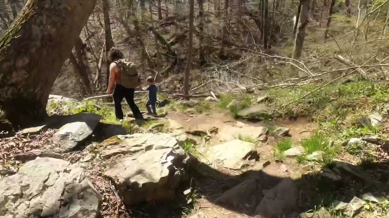 My Pup’s 1st ever summit on the Appalachian Trail | Turk Mountain-Shenandoah National Park