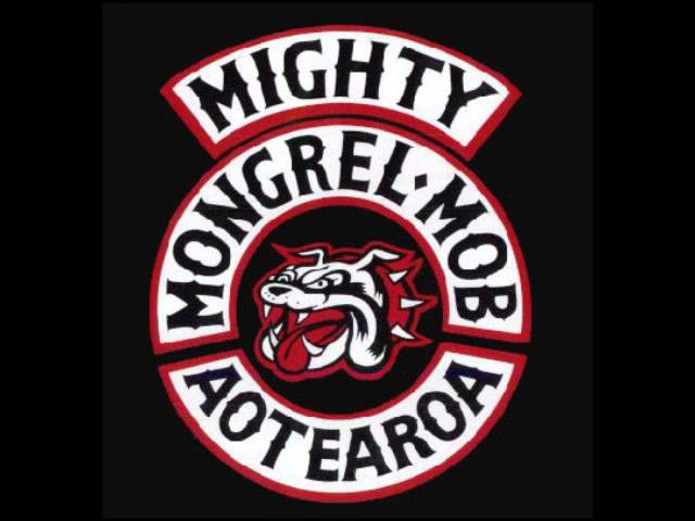 Tonton Aotearoa Dunedin - Strictly Hate di YouTube Tonton Aotearoa Dunedin - Strictly Hate di YouTube
