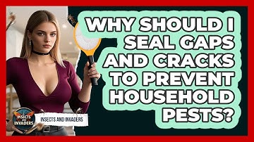 Why Should I Seal Gaps And Cracks To Prevent Household Pests? - Insects and Invaders
