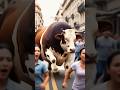 a cow losses his happiness.🥹 #shortvideo #animals #cartoon #cowlover #sadmusic #sadcowstory