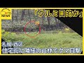 2年連続…住宅街に隣接する山林でクマ目撃　足跡や掘り返しの跡も「クルミ目的か」注意を　札幌・西区