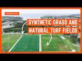 Reference design for synthetic grass & natural turf rugby fields at Pioneers Park