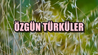 ÖZGÜN TÜRKÜLER | TÜRK HALK MÜZİĞİ #türküler