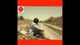 Hilmi Gürses - Dinmez Oldu Dertlerim