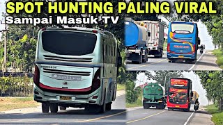 Aksi Ngeblong Bus Sumatera ❗️ Spot Hunting Paling Viral , Sampe Masuk TV ❗️| Sirkuit Palas Pekanbaru