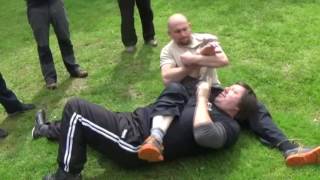 Systema Concepts - Restriction Preview