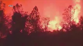 Local firefighters help make progress in Park Fire