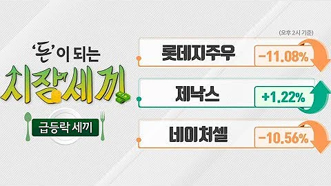 #롯데지주우(00499K)_돈 되는 급등락 종목(20191217)