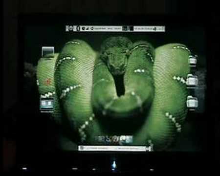 compiz fusion ubuntu 7.10 gutsy gibbon