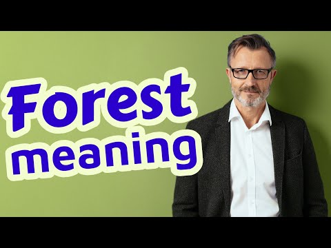 Forest | Meaning of forest