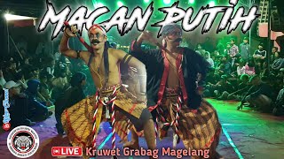 Full Surup!!! Warok Macan Putih Live Perform Kruwet Grabag Magelang