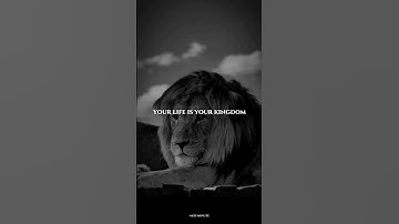 Your Life Is Your Kingdom — Guard Your Space #motivation #013