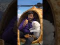 🚁🥟 Flying in a Samosa Helicopter with My Cat! 😹🏔️ #SamosaHelicopter #FunnyShorts #cutevideo