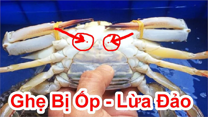 Top 18 cách lựa ghẹ ngon