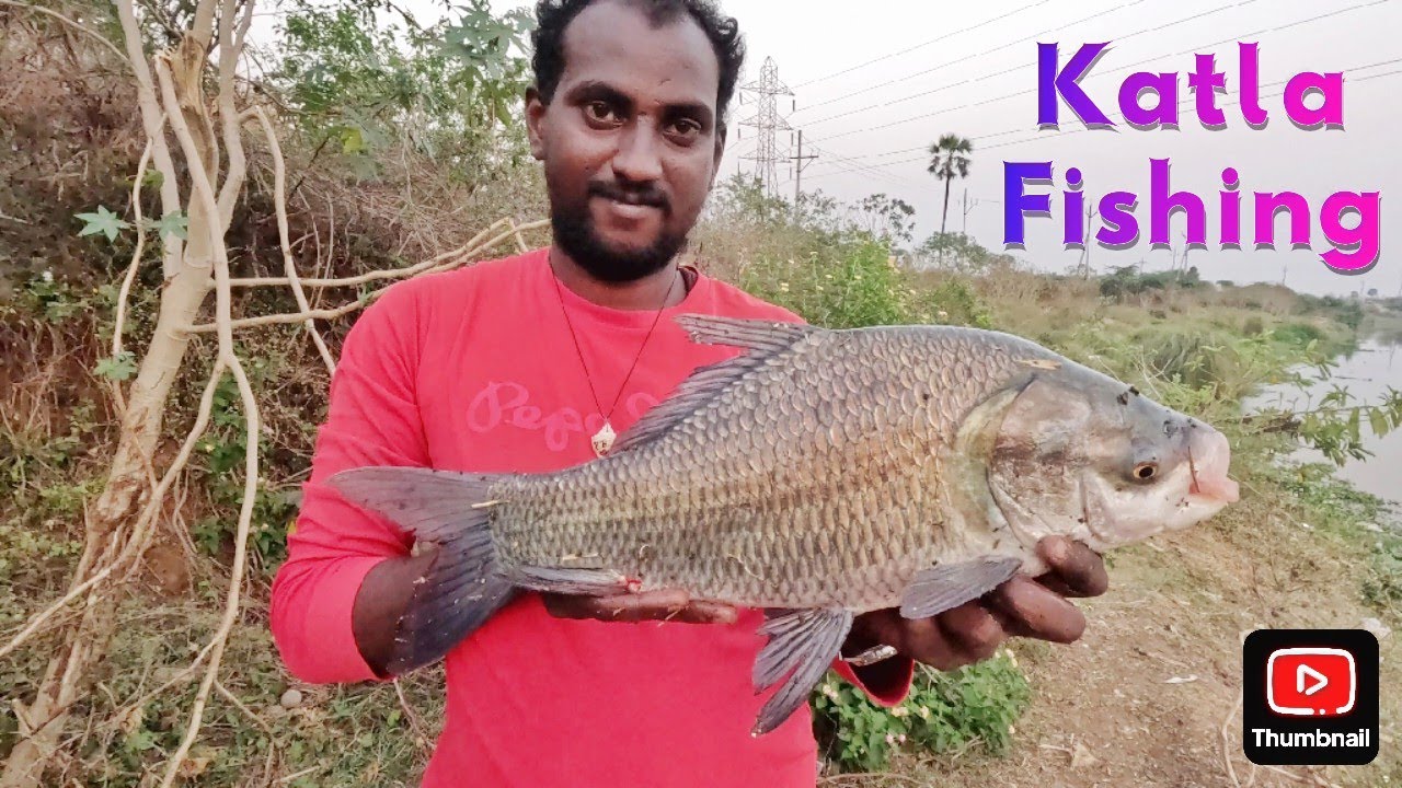 Amazing KATLA Fishing(బొచ్చ చేప)🎣